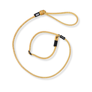 Slip Leashes: Raglan Dog Slip Leash
