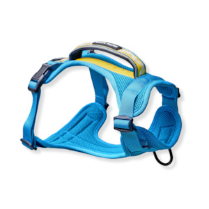 Dog Harnesses: Arctic Sammy Adventure Dog Harness - Teal