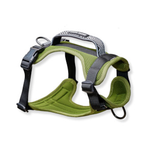 Arctic Sammy Adventure Dog Harness - Olive