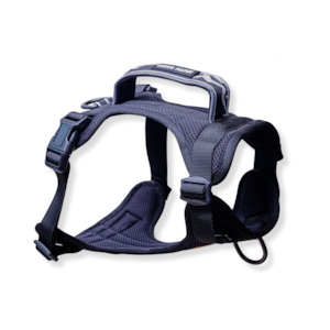 Arctic Sammy Adventure Dog Harness - Black