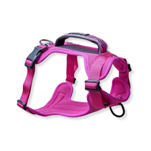 Arctic Sammy Adventure Dog Harness - Pink