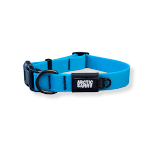Teal Terraflow Waterproof Dog Collar