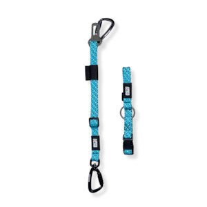 All Dog Leashes: 3-in-1 Dog Car Tether Pukaki