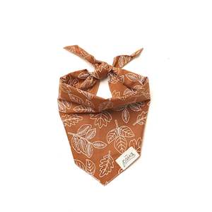 The Paws True North Dog Bandana