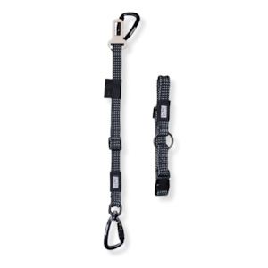 3-in-1 Dog Car Tether Mackenzie
