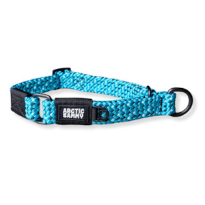 Pukaki Martingale Collar