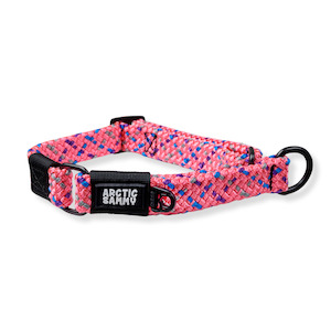 Martingale Collars: Ohau Martingale Collar