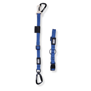 Benmore: 3-in-1 Dog Car Tether Benmore