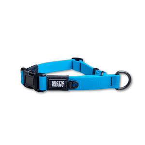 New: Teal Terraflow Waterproof Martingale Dog Collar