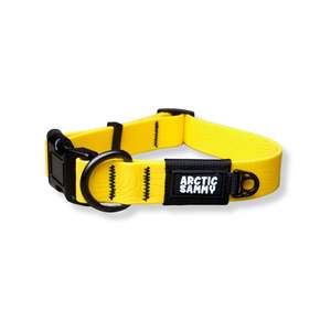 Custom Mustard Yellow Terraflow Waterproof Dog Collar - 40cm Neck Size