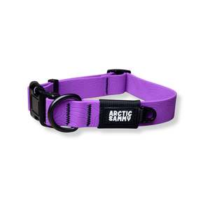 New: Custom Purple Terraflow Waterproof Dog Collar  - Medium size/ 20mm width