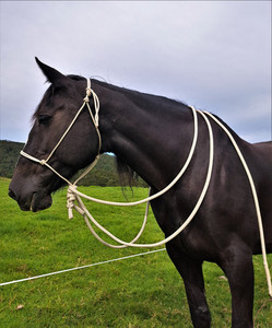 Products: Hackamore Knotted Rope Halter Areion