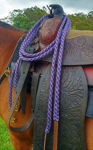 Products: Split Reins Areion