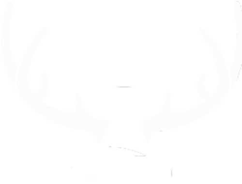 Booking Bond: Book a Private Stag Do Game - Game Bond to Secure Slot