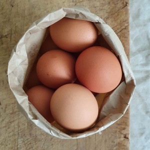 Cage Free Eggs / 1. Doz