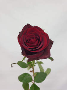 Products: Red Roses