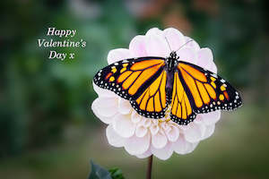 All: Card - Valentine's Day