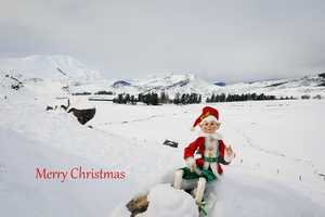 All: Card - Merry Christmas (Castle Hill)