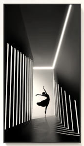 High quality Large Designer Frames with built in light