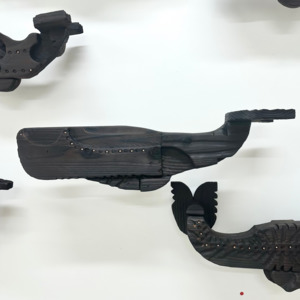 The Magic Number: Kāhui Tohorā 5 no.5