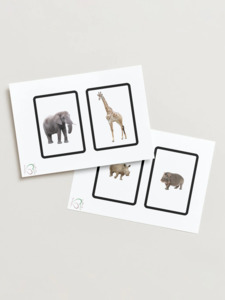 Products: PDF Download Montessori Toddler Classified Cards - Wild Animals - Aroha Nui Montessori and Beyond