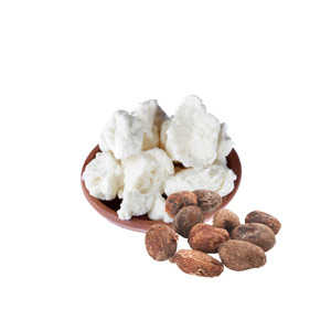 Shea Butter 500g