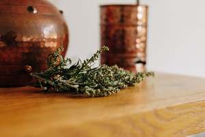 The Plant Alchemist