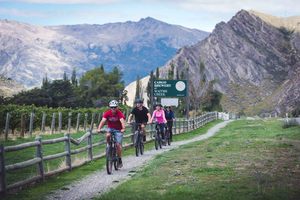 Products: Bike The Wineries Half Day - Queenstown, NZ