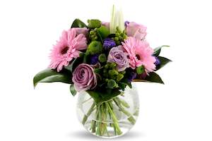 Posies: Dreams