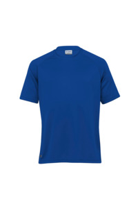 As Colour: Dri Gear Men's Plain Raglan Tee