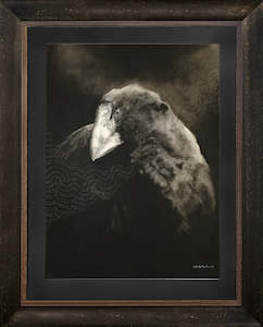 Takahē - The Hermit