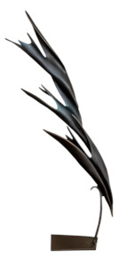 Trevor Askin: Focussing