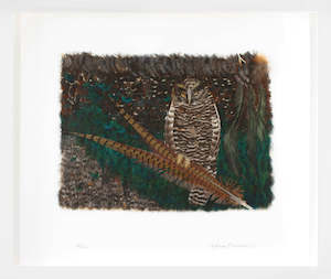 Melanie Richardson: Ruru Morepork