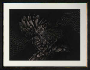 Gareth Barlow: Black Cockatoo
