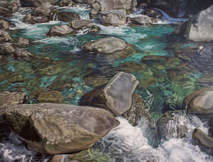 Isaac Petersen: Chasm Rockpool - Milford Sounds 1