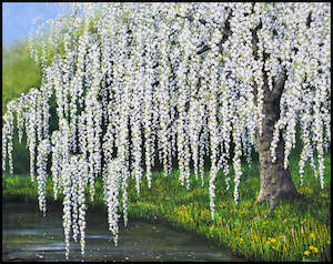 Rachael Errington: The Cherry Blossom Tree