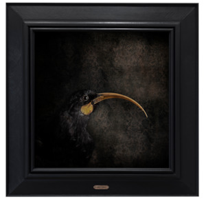 Jae Frew: Huia No.3 - Edition 1/5