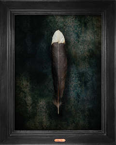 Jae Frew: Huia No.2 - Edition 2/5