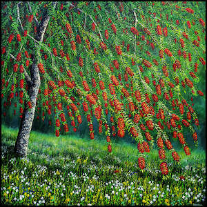 Bottlebrush Tree