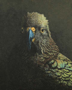 Gareth Barlow: Kea - The Regal