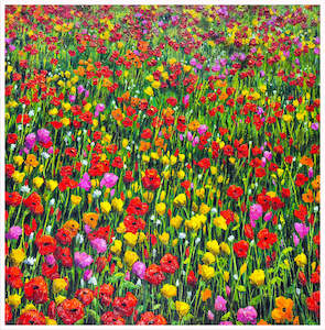 Poppies