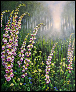 Rachael Errington: Foxgloves in the Morning