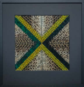 Whakapapa Waru