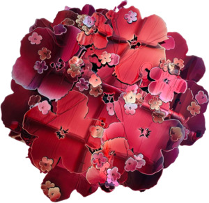 Sally Bulling: Flower Bomb