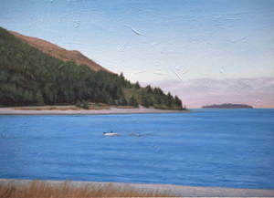 Isaac Petersen: Summer on Lake Tekapo