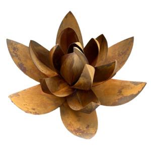 Simon Max Bannister: Lotus