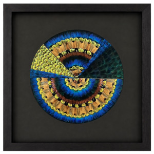 GE Mandala Coherence