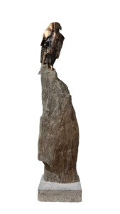 Falcon Study - Anticipation