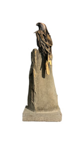 Simon Max Bannister: Falcon Study - Vigilance