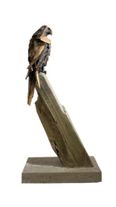 Simon Max Bannister: Falcon Study - Timing